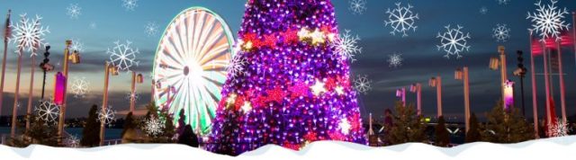 Ferris wheel behind Christmas tree
